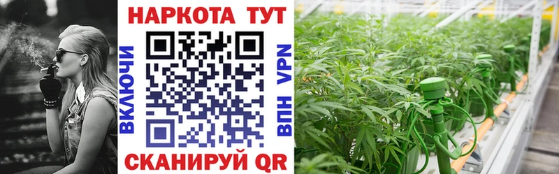 Наркошоп купить Псилоцибиновые грибы  МЕТАДОН  ГАШ  Мефедрон  Канабис  КОКАИН  Пестово