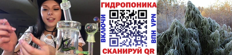 Купить  Пестово  Бошки Шишки VHQ 